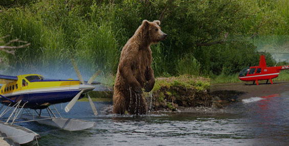 Alaska Fly-in Fishing & Bear Viewing