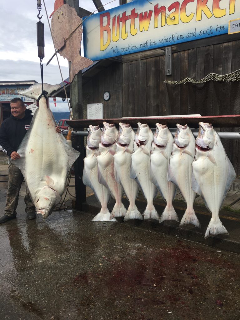 Alaska Fishing Packages | Fishing And Lodging | Alaska Fish On Charters